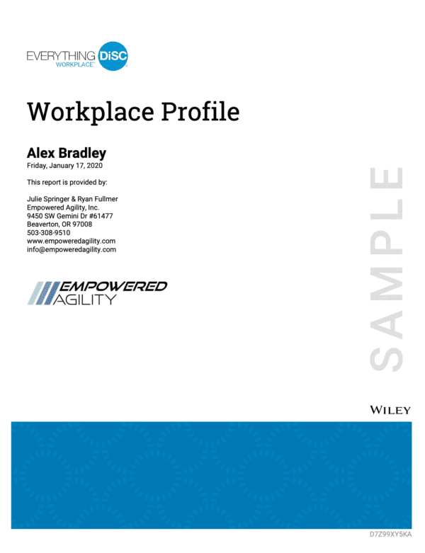 Everything Disc Workplace profile sample cover of report